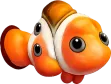 A clownfish