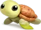 A sea turtle